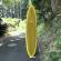 MSU_270716_711SN_1.jpeg