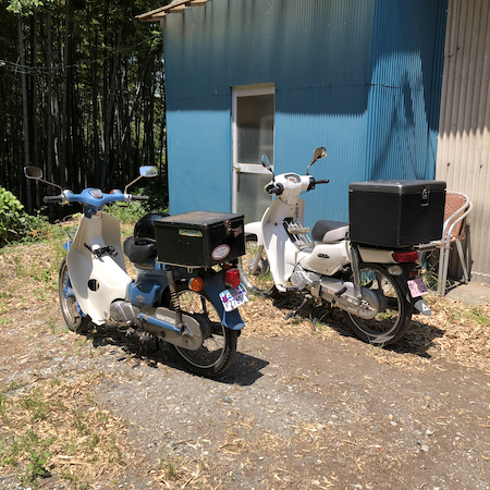 260601_SANO.jpeg