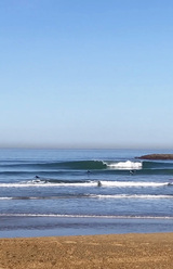 220124_SURF.jpg
