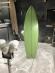 260518_59GYP.jpeg